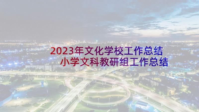 2023年文化学校工作总结 小学文科教研组工作总结(汇总10篇)