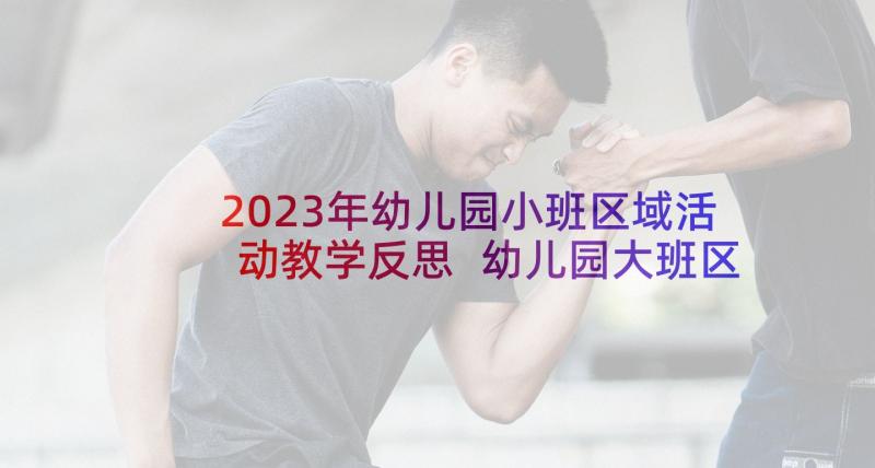 2023年幼儿园小班区域活动教学反思 幼儿园大班区域活动教学反思(精选6篇)