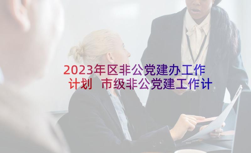 2023年区非公党建办工作计划 市级非公党建工作计划必备(汇总5篇)