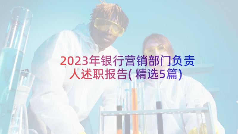 2023年银行营销部门负责人述职报告(精选5篇)