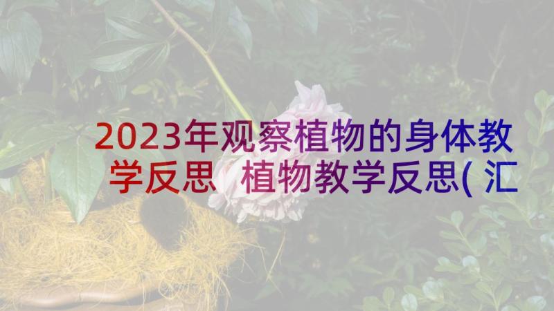 2023年观察植物的身体教学反思 植物教学反思(汇总8篇)