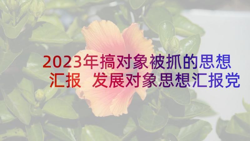 2023年搞对象被抓的思想汇报 发展对象思想汇报党员发展对象思想汇报(模板6篇)