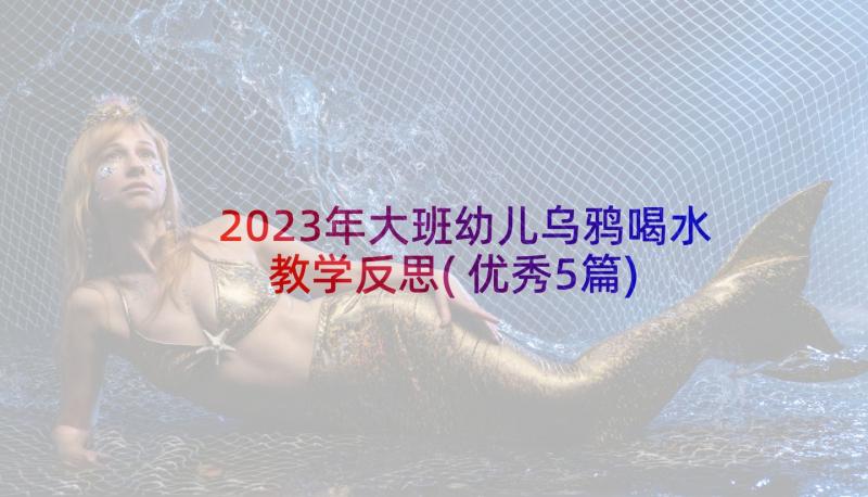 2023年大班幼儿乌鸦喝水教学反思(优秀5篇)