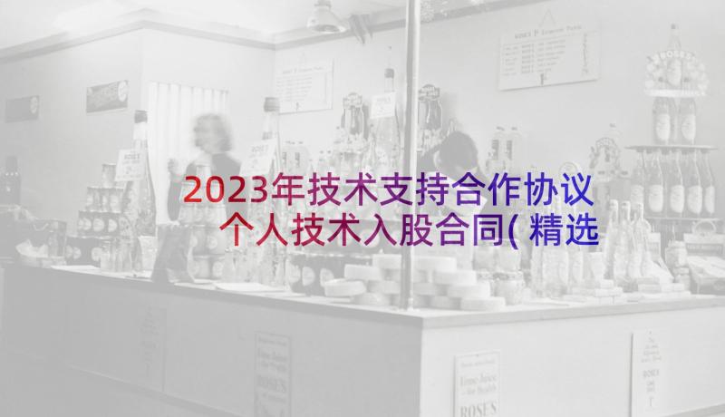 2023年技术支持合作协议 个人技术入股合同(精选5篇)