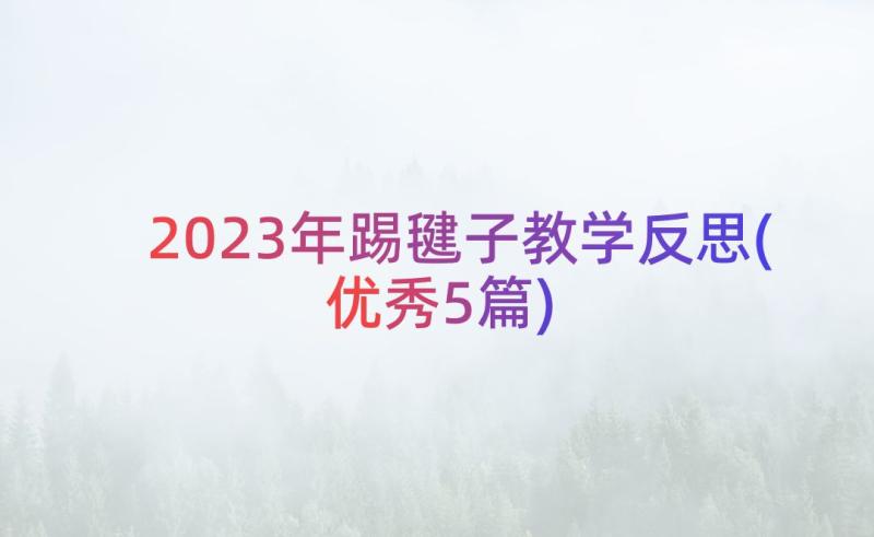 2023年踢毽子教学反思(优秀5篇)