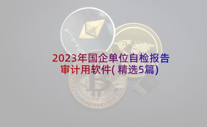 2023年国企单位自检报告审计用软件(精选5篇)