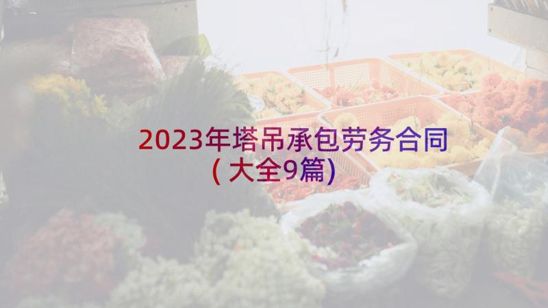 2023年塔吊承包劳务合同(大全9篇)