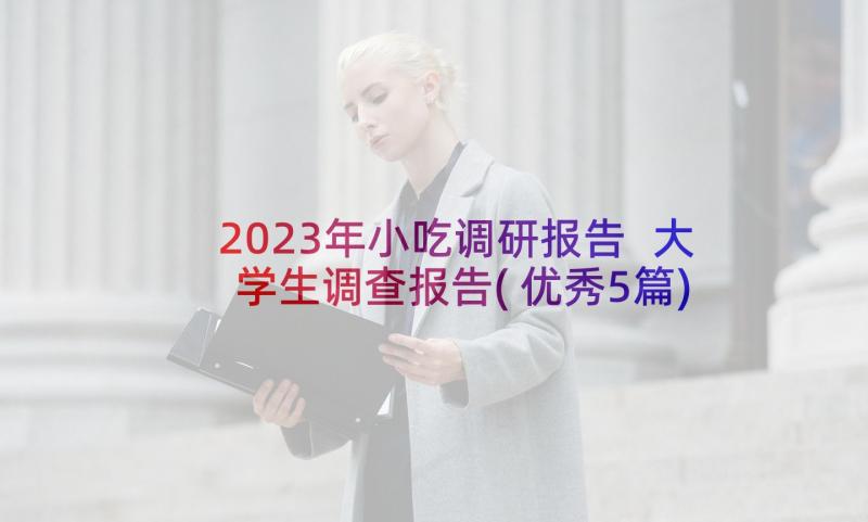 2023年小吃调研报告 大学生调查报告(优秀5篇)