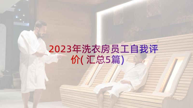 2023年洗衣房员工自我评价(汇总5篇)