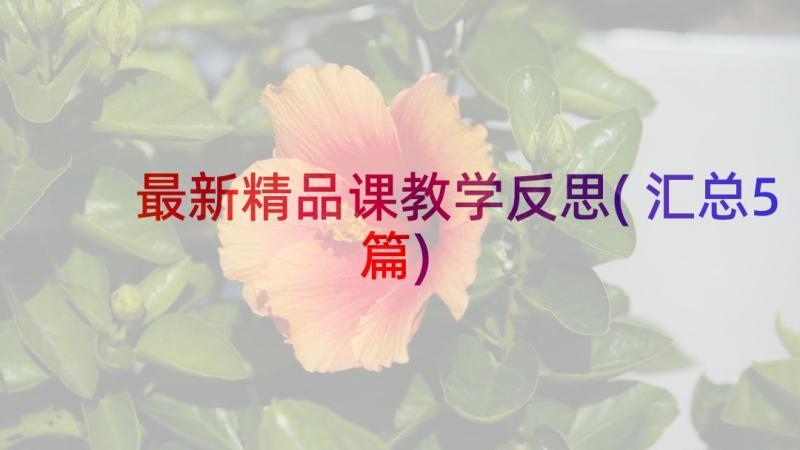 最新精品课教学反思(汇总5篇)