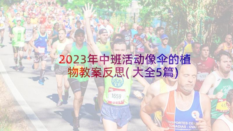 2023年中班活动像伞的植物教案反思(大全5篇)