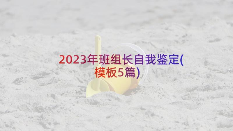 2023年班组长自我鉴定(模板5篇)