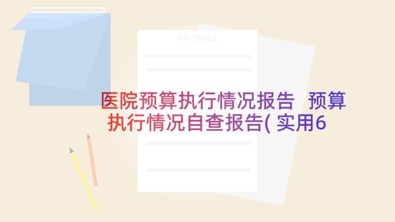 医院预算执行情况报告 预算执行情况自查报告(实用6篇)