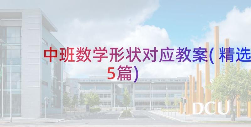 中班数学形状对应教案(精选5篇)