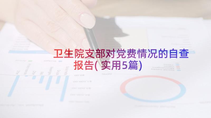 卫生院支部对党费情况的自查报告(实用5篇)