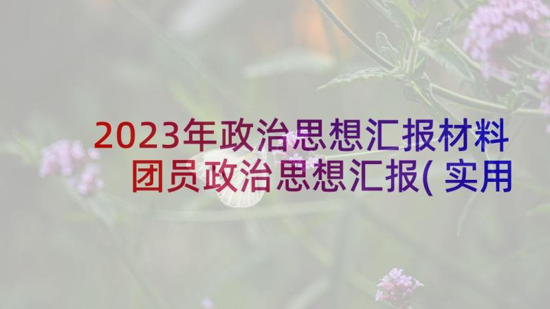 2023年政治思想汇报材料 团员政治思想汇报(实用5篇)