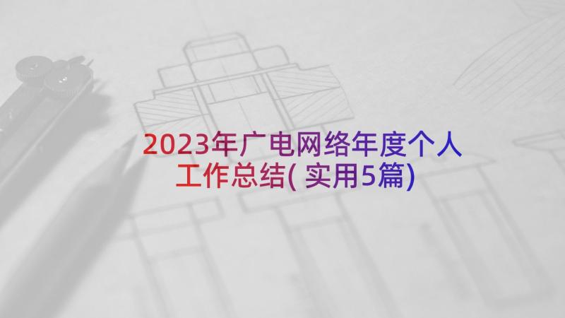 2023年广电网络年度个人工作总结(实用5篇)