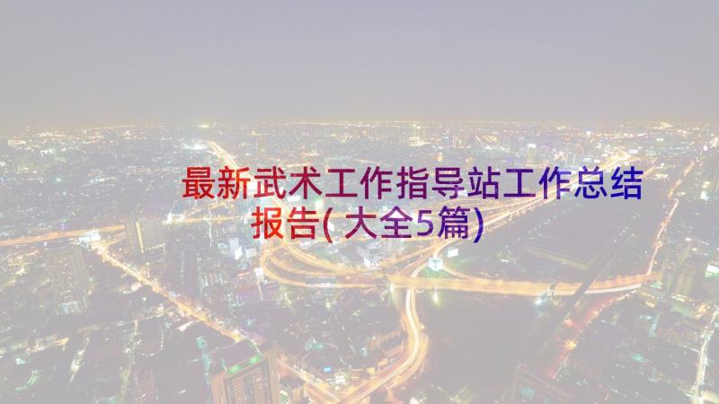 最新武术工作指导站工作总结报告(大全5篇)