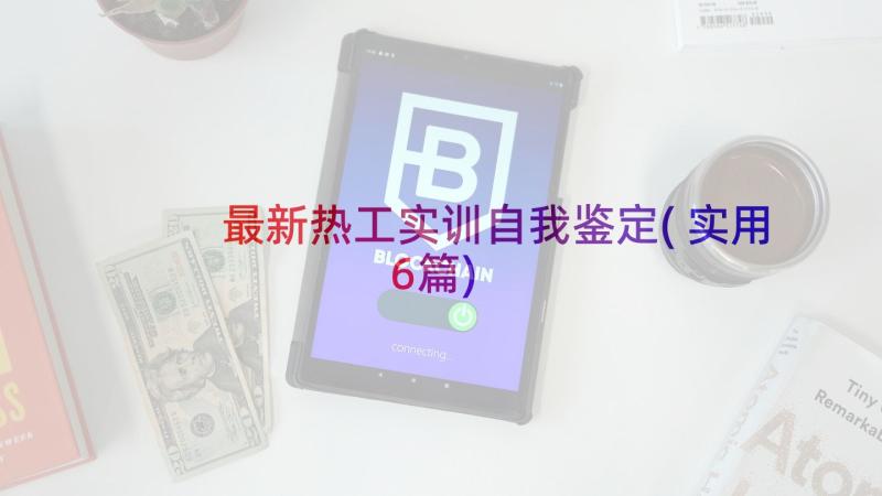 最新热工实训自我鉴定(实用6篇)