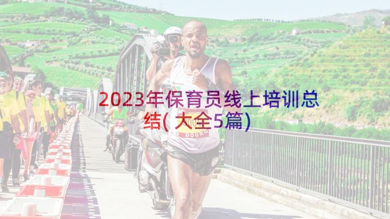 2023年保育员线上培训总结(大全5篇)