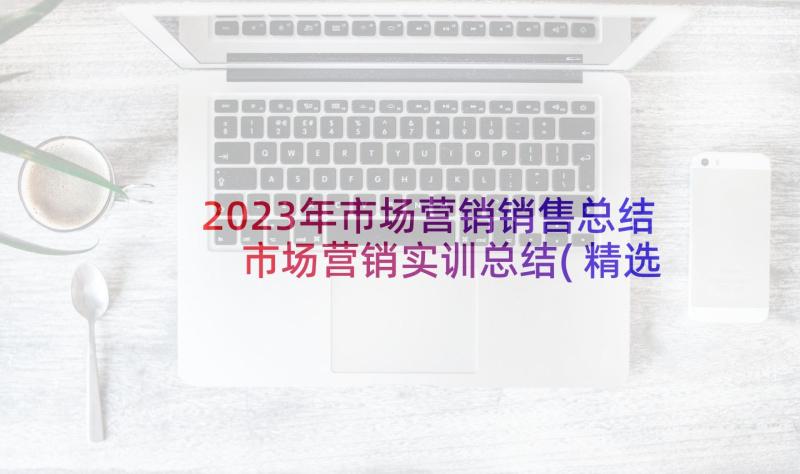 2023年市场营销销售总结 市场营销实训总结(精选6篇)