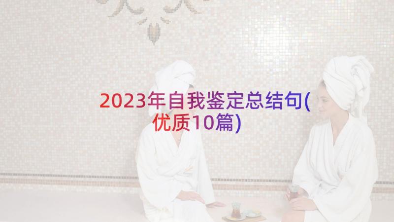 2023年自我鉴定总结句(优质10篇)