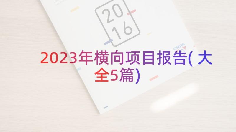 2023年横向项目报告(大全5篇)