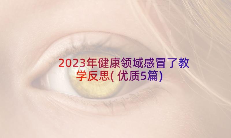 2023年健康领域感冒了教学反思(优质5篇)