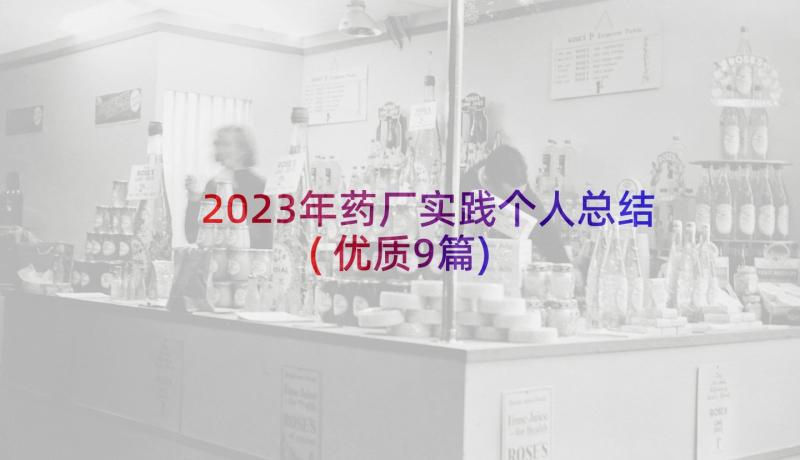 2023年药厂实践个人总结(优质9篇)