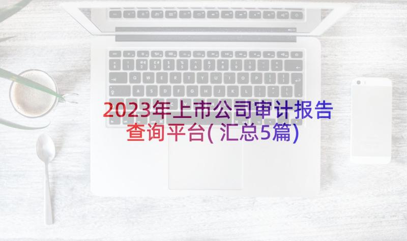 2023年上市公司审计报告查询平台(汇总5篇)