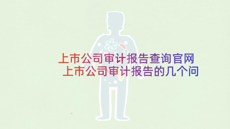 上市公司审计报告查询官网 上市公司审计报告的几个问题(大全5篇)