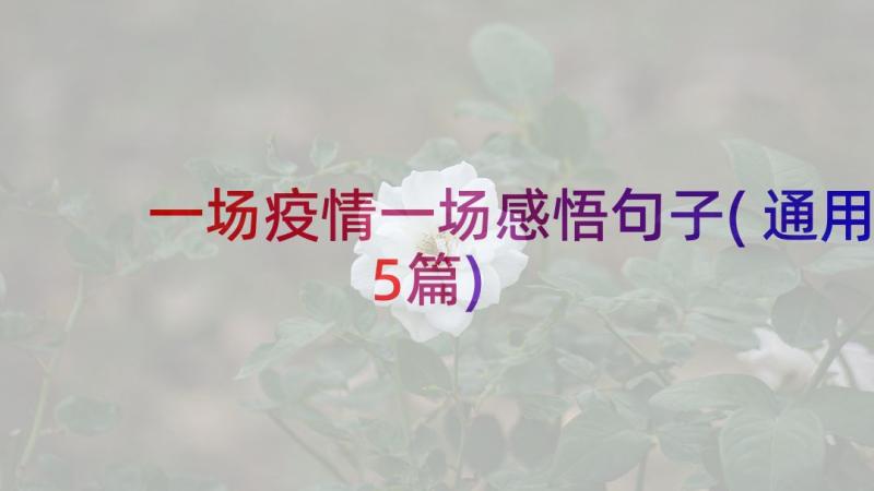 一场疫情一场感悟句子(通用5篇)