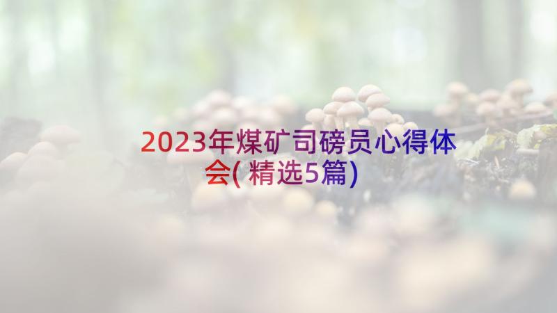 2023年煤矿司磅员心得体会(精选5篇)