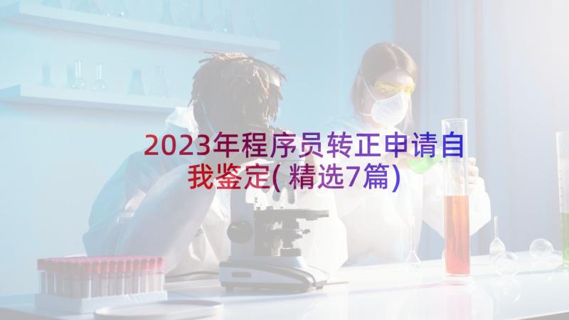 2023年程序员转正申请自我鉴定(精选7篇)