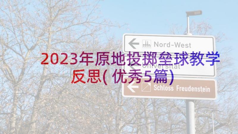 2023年原地投掷垒球教学反思(优秀5篇)