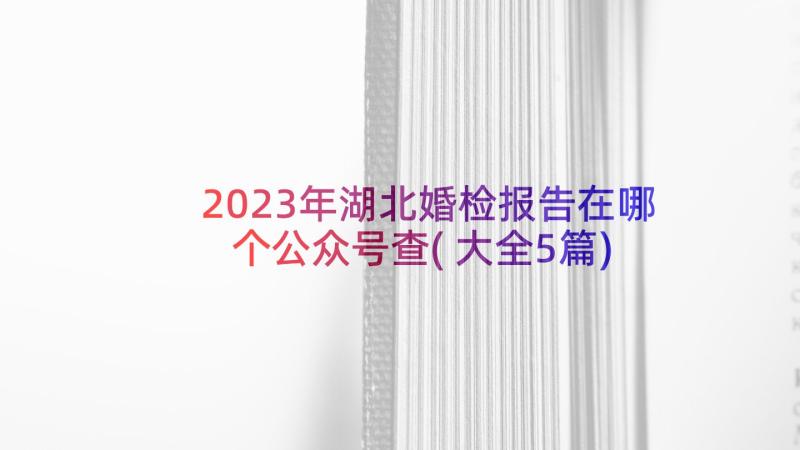 2023年湖北婚检报告在哪个公众号查(大全5篇)