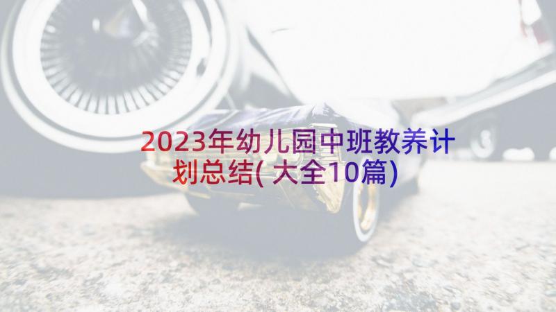 2023年幼儿园中班教养计划总结(大全10篇)