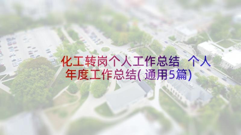 化工转岗个人工作总结 个人年度工作总结(通用5篇)