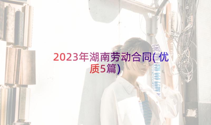 2023年湖南劳动合同(优质5篇)