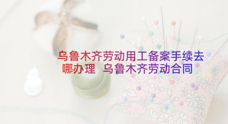 乌鲁木齐劳动用工备案手续去哪办理 乌鲁木齐劳动合同(大全5篇)