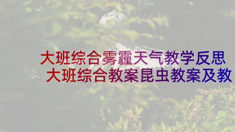 大班综合雾霾天气教学反思 大班综合教案昆虫教案及教学反思(汇总5篇)