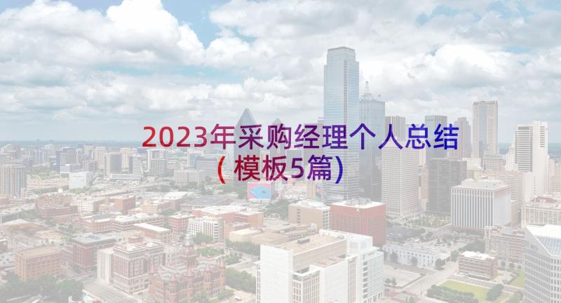 2023年采购经理个人总结(模板5篇)