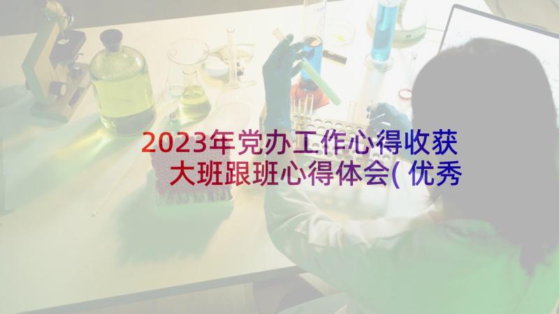 2023年党办工作心得收获 大班跟班心得体会(优秀10篇)