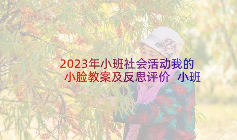 2023年小班社会活动我的小脸教案及反思评价 小班老师像妈妈社会活动教案附教学反思(大全5篇)