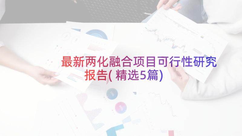 最新两化融合项目可行性研究报告(精选5篇)