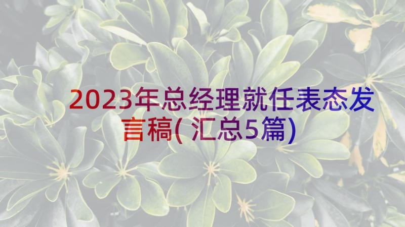 2023年总经理就任表态发言稿(汇总5篇)