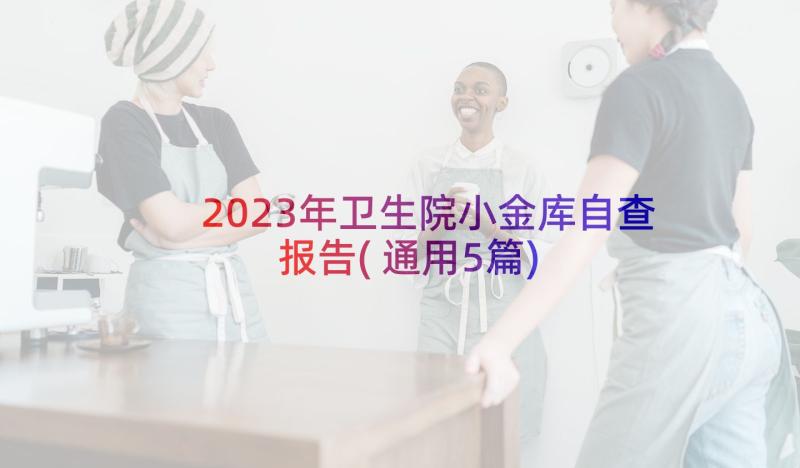 2023年卫生院小金库自查报告(通用5篇)