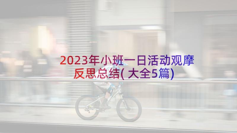 2023年小班一日活动观摩反思总结(大全5篇)