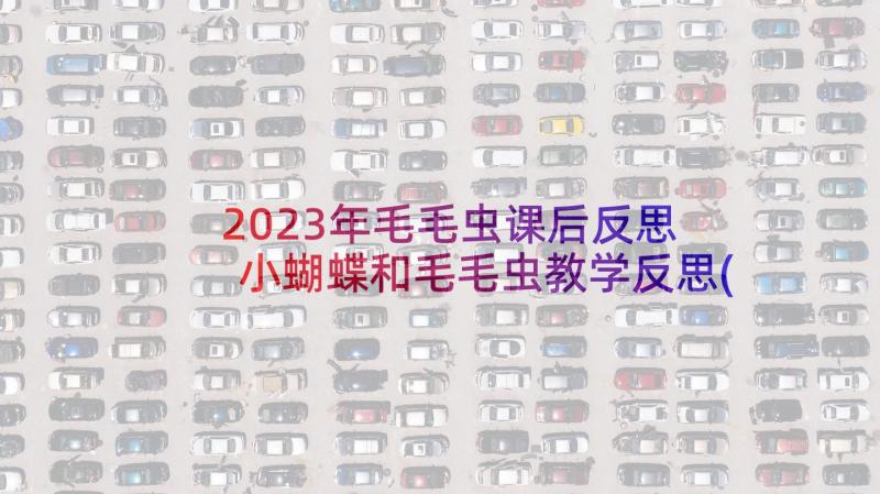 2023年毛毛虫课后反思 小蝴蝶和毛毛虫教学反思(大全5篇)