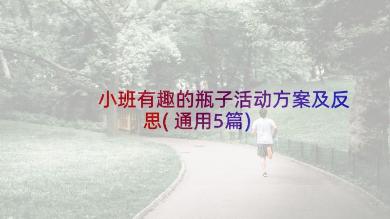 小班有趣的瓶子活动方案及反思(通用5篇)